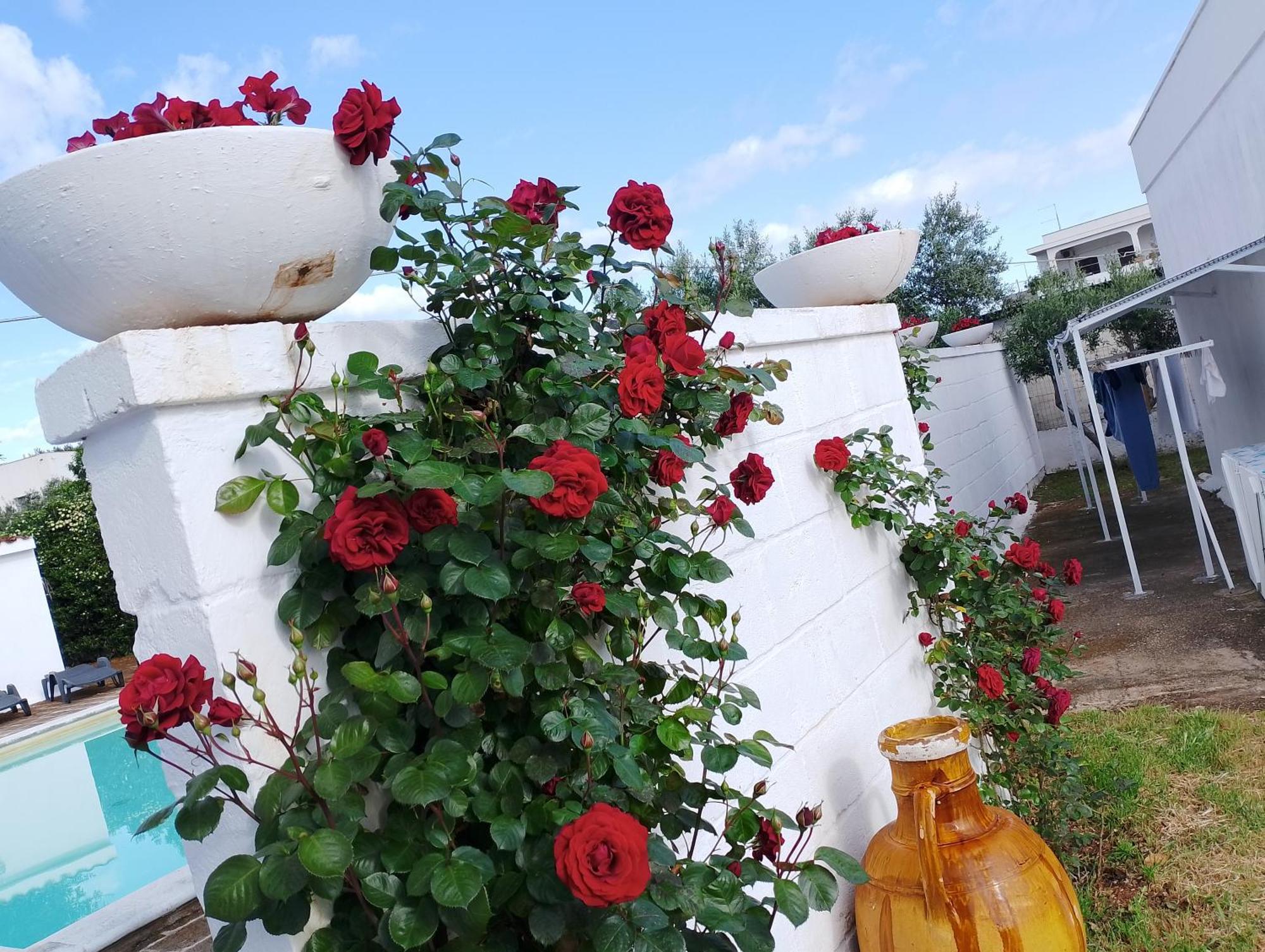 Hotel La Dimora Di Nonna Giuliana Ostuni Exterior foto